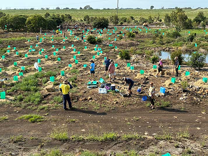 Charlotte's Wood Planting Day