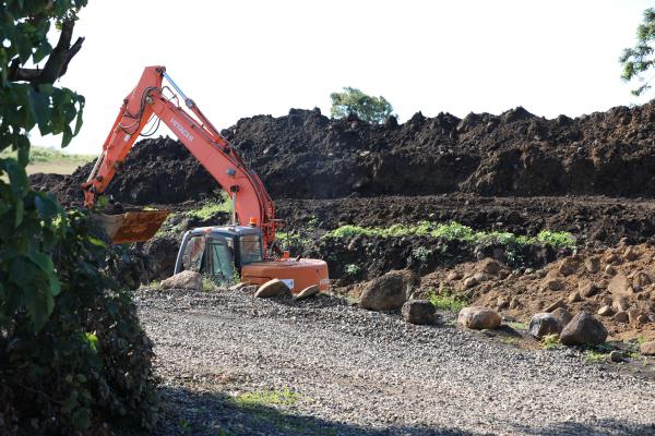 Starting at the beginning