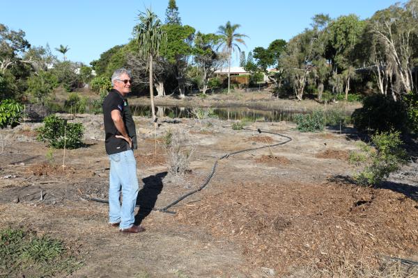 The beginning of the reafforestation of Kalina Creek