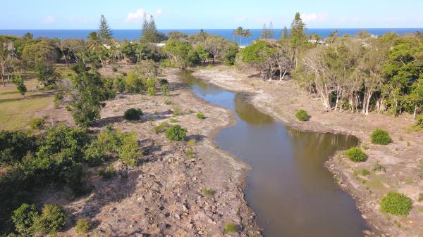 Early days of Kalina Creek