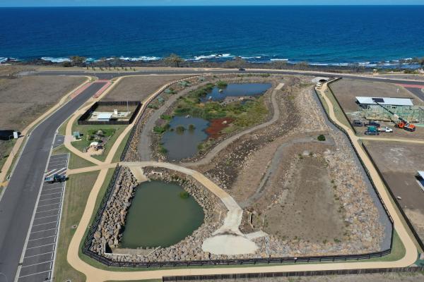Headlands Green Wetlands