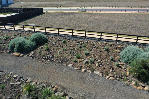 Headlands Green Wetlands