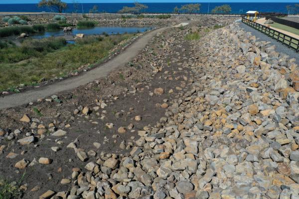 Headlands Green Wetlands