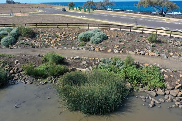 Headlands Green Wetlands