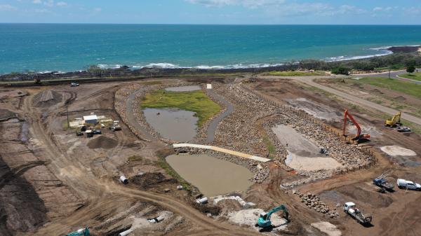 Building the Wetlands