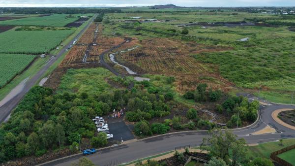 Charlotte's Wood Planting
