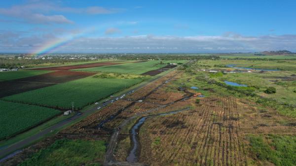 Charlotte's Wood Planting
