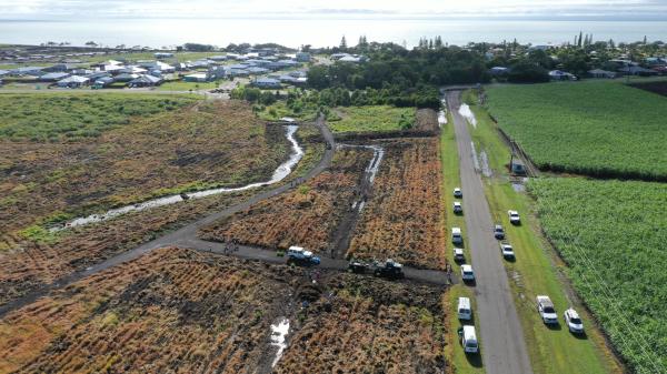 Charlotte's Wood Planting