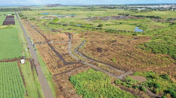 Charlotte's Wood Planting