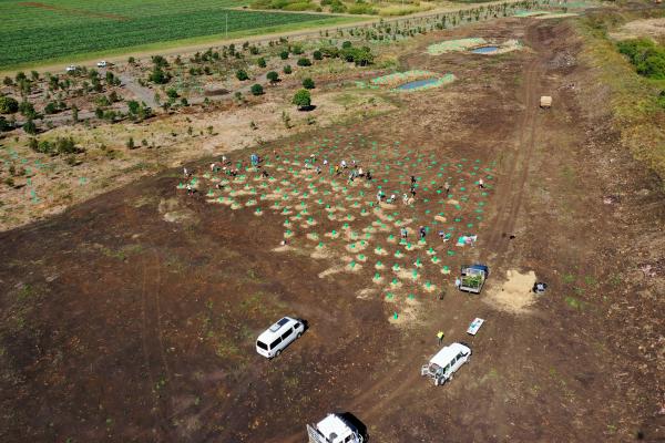 Charlotte's Wood Planting
