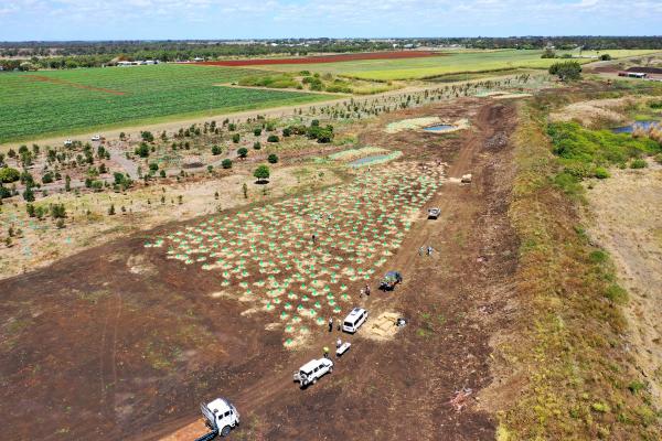 Charlotte's Wood Planting