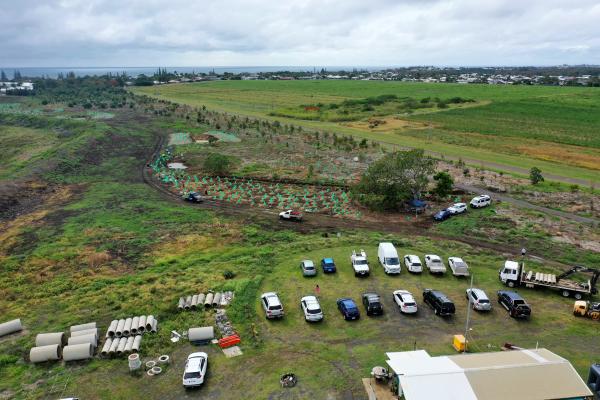 Charlotte's Wood Planting