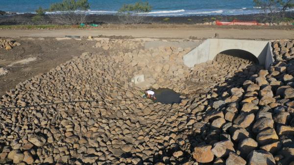 Headlands Green Wetlands