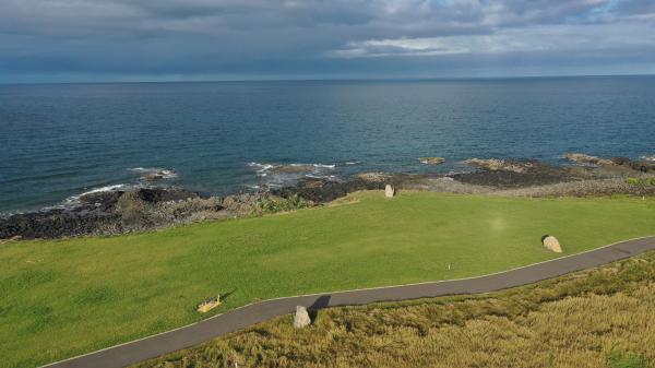 Whale Rock (Noog'garr Walla)