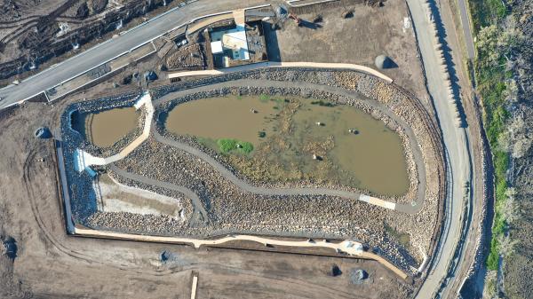 Headlands Green Wetlands
