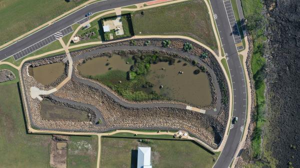 Headlands Green Wetlands