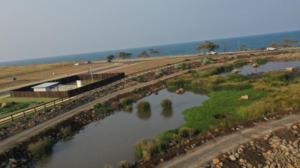 Headlands Green Wetlands