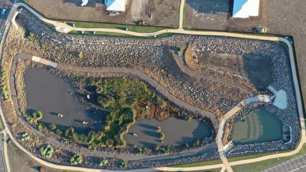 Headlands Green Wetlands