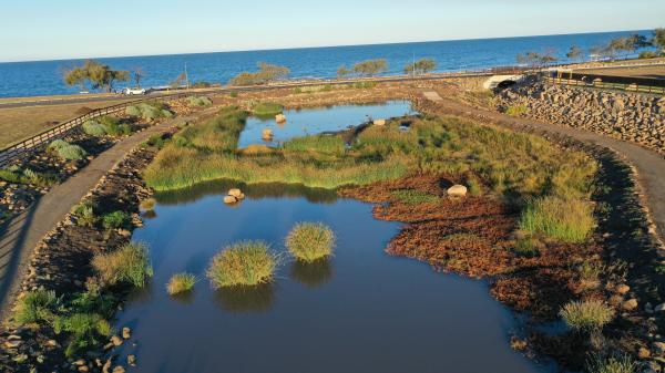 Headlands Green Wetlands
