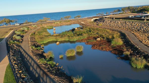 Headlands Green Wetlands