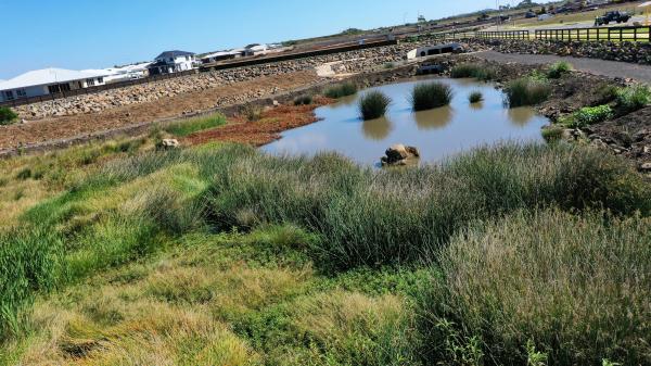 Headlands Green Wetlands