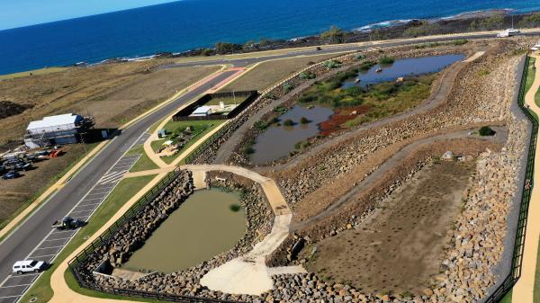 Headlands Green Wetlands