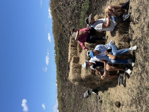 Charlotte's Wood Planting