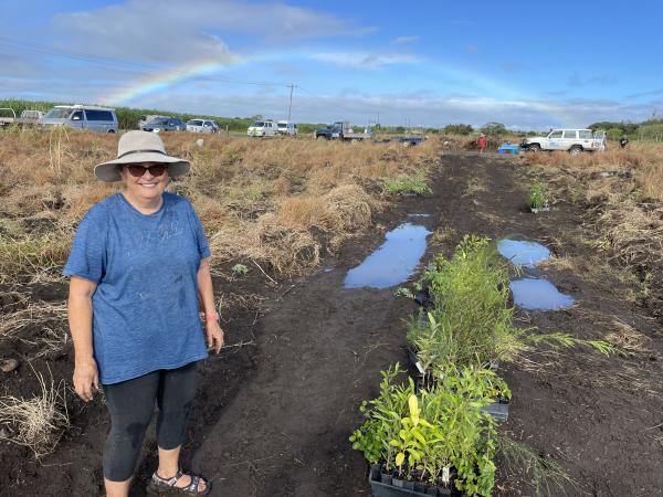 Charlotte's Wood Planting
