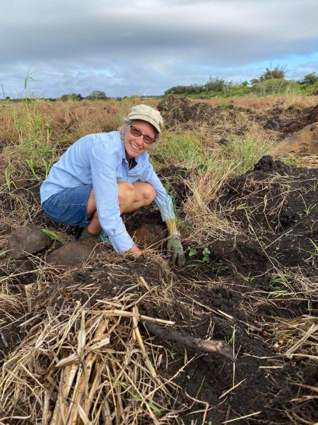 Charlotte's Wood Planting