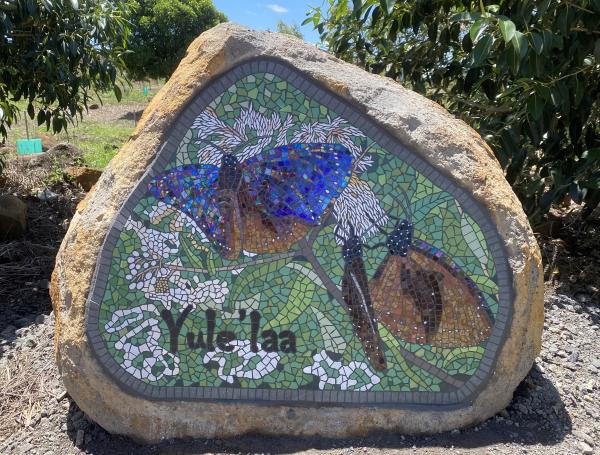 Yule'laa #6 (Purple Crow)