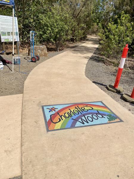 Charlotte's Wood in situe