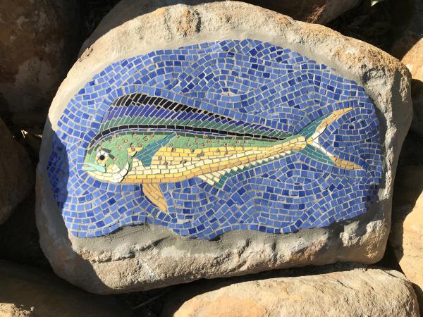 Mahi-Mahi Dolphin Fish