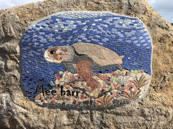 Mee'barr (Sea Turtle)